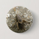 Suche nach wirbellos buttons Natur