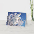 Suche nach eulen im schnee karten Tiere