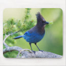 Recherche de steelers tapis souris Jay de steller