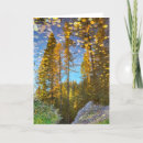 Suche nach pfützen karten Reflexion