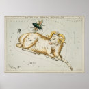 Recherche de canis posters Étoiles