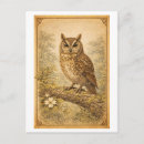 Suche nach vintage eulen postkarten Vogel
