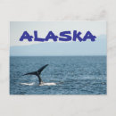 Recherche de baleines cartes postales Alaska