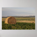 Suche nach ball poster Horizontal