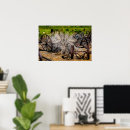 Suche nach rad poster Antike