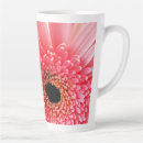 Recherche de gerbera tasses Botanique