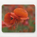Suche nach rote mohnblumen mousepads Flora