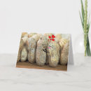 Suche nach erdnuss karten Für sie