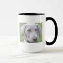 Suche nach weimaraner tassen Welpe