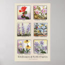 Suche nach watercolor flower poster Botanical
