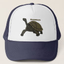 Recherche de tortue de de casquettes Reptile