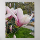 Suche nach große blumen poster Rosa