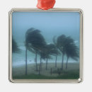 Suche nach miami ornamente Florida