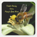 Recherche de pollen autocollants Miel