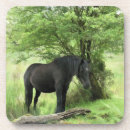 Suche nach pferd untersetzer Niedlich