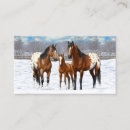 Recherche de jument cheval cartes visite Jument et poulain