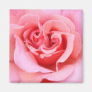 Suche nach blumenblatt magnete Rose