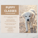 Recherche de chiot prospectus Mignon