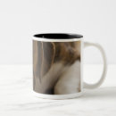 Recherche de le new jersey maison deco Animal