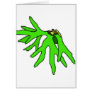 Recherche de bromeliad Plante