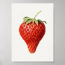 Recherche de illustrations vintages de fruit posters Fraise