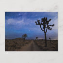Recherche de arbre joshua cartes postales Désert
