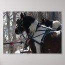 Suche nach team arbeit poster Fotografie