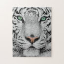 Recherche de tigre blanc puzzles Félin