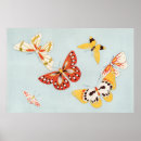 Recherche de illustration papillon posters Papillons