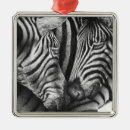 Suche nach wild lebende tiere ornamente Niedlich