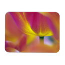 Suche nach küken magnete Rosa