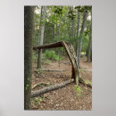 Recherche de arbre de chute Extérieur