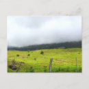 Suche nach atmosphärisch postkarten Foto