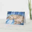 Recherche de adoptez un chat Délivrance