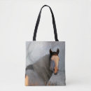 Recherche de mustang sacs Étalon