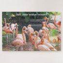 Suche nach florida puzzle Rosa flamingos