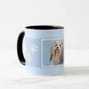 Recherche de havanese tasses Dog