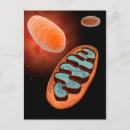 Suche nach pathologie poster Vertikal