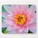 Recherche de nénuphar tapis souris Fleur