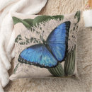 Recherche de papillon bleu morpho coussins Insecte