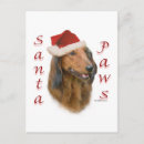 Recherche de paw cartes postales Dog