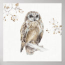 Suche nach braune eule poster Tiere