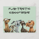 Suche nach der groomer der flyer Hundspaziergang