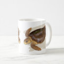 Recherche de espèce marine tasses Océan