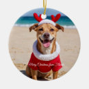 Suche nach florida weihnachten ornamente Miami