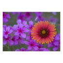 Suche nach devine Blume