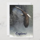 Recherche de rapace invitations Nature
