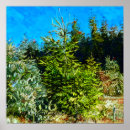Suche nach nadelbaum poster Bäume