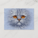 Recherche de visage de chat cartes visite Chaton