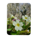 Suche nach springen magnete Rosa